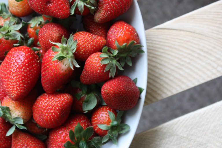 fruits fraise avec caractéristiques nutritionnelles